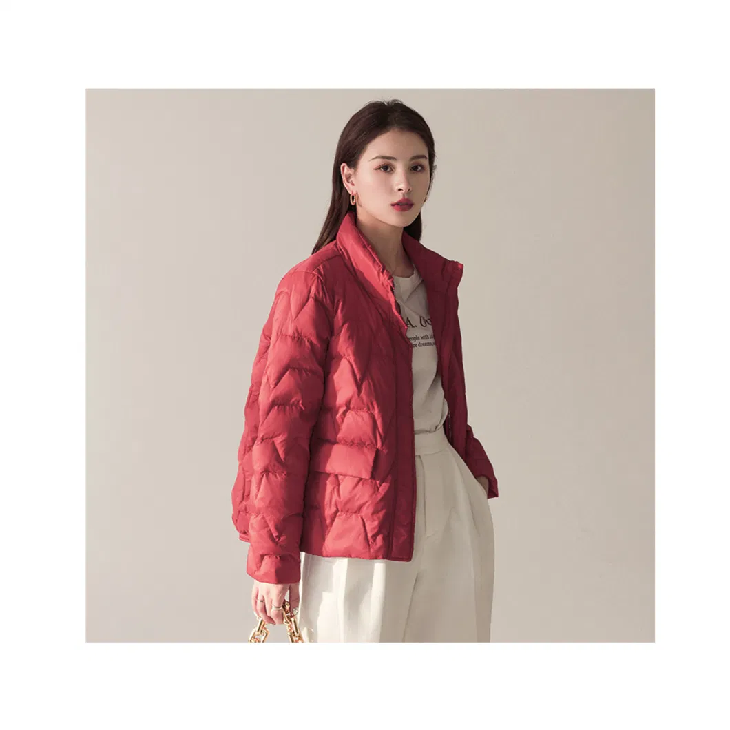 Literary Style Simple Style Women′ S Down Jacket Women′ S New Stand-up Collar Fashion Pure Color White Duck Down Warm Bread Wear Tide